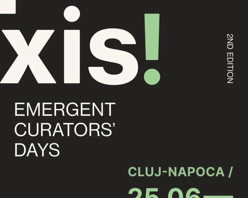 „Praxis! Emergent Curators' Days", ediția a II-a, la Cluj-Napoca