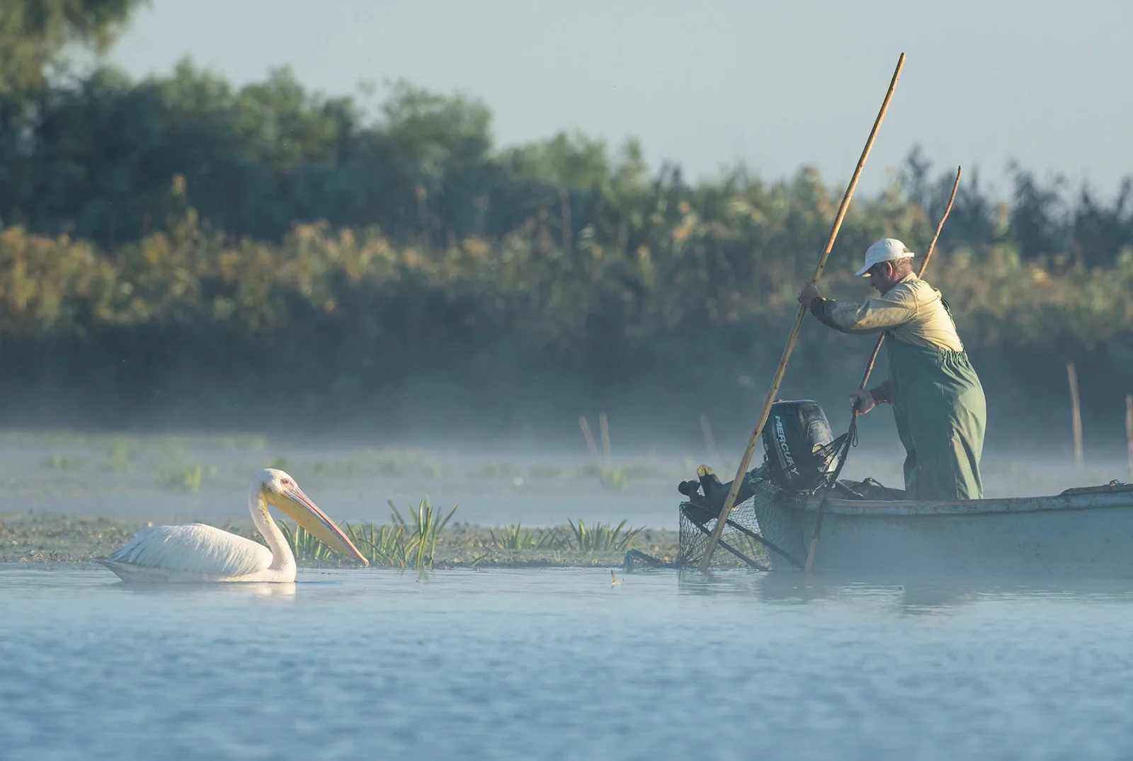 Documentarul „Delta Sălbatică" susține reconstrucția ecologică a Deltei Dunării