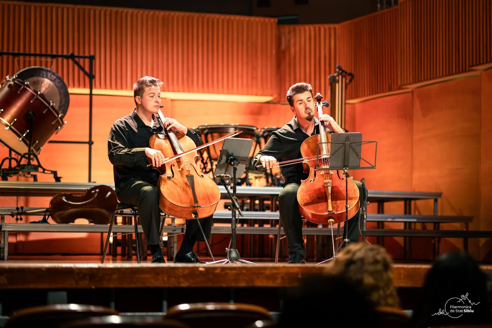 Duo Serafim concertează la Muzeul Colecțiilor de Artă