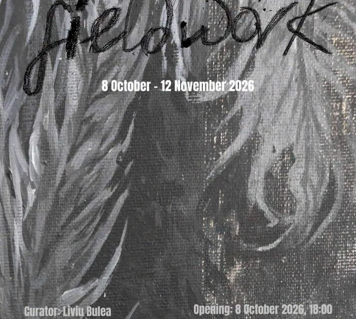 Amalia Crișan expune „Fieldwork" la IAGA Contemporary Art Cluj