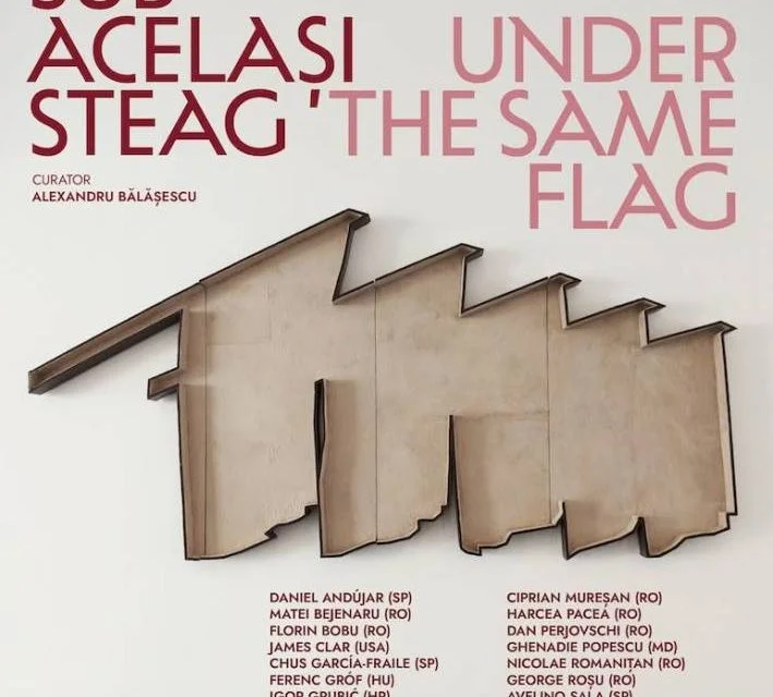 Expoziția „Sub același steag" deschide la Iași un dialog despre simboluri și democrație
