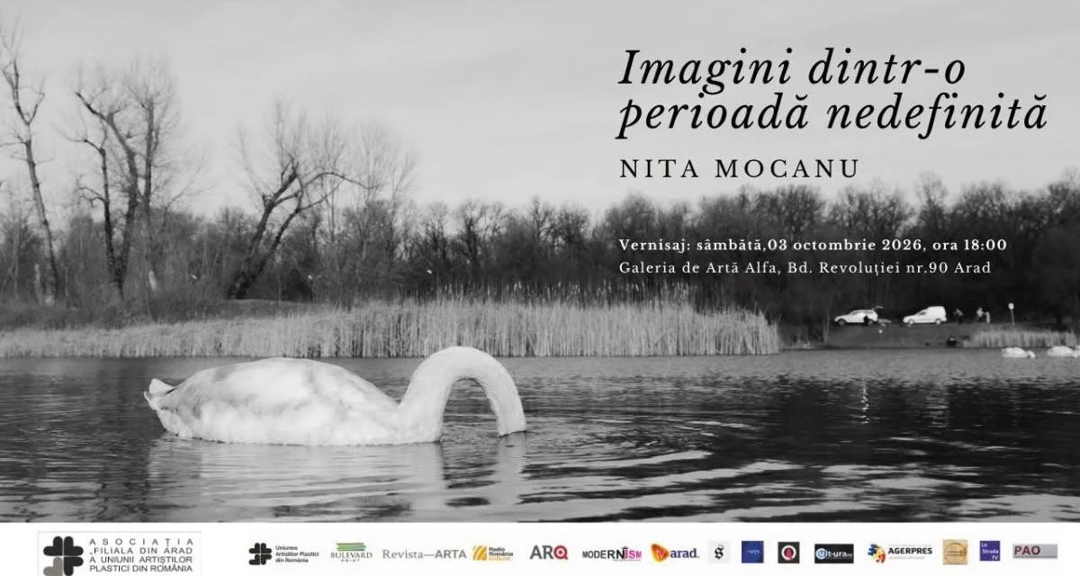 Nita Mocanu expune la Galeria Alfa din Arad despre fragilitatea imaginii
