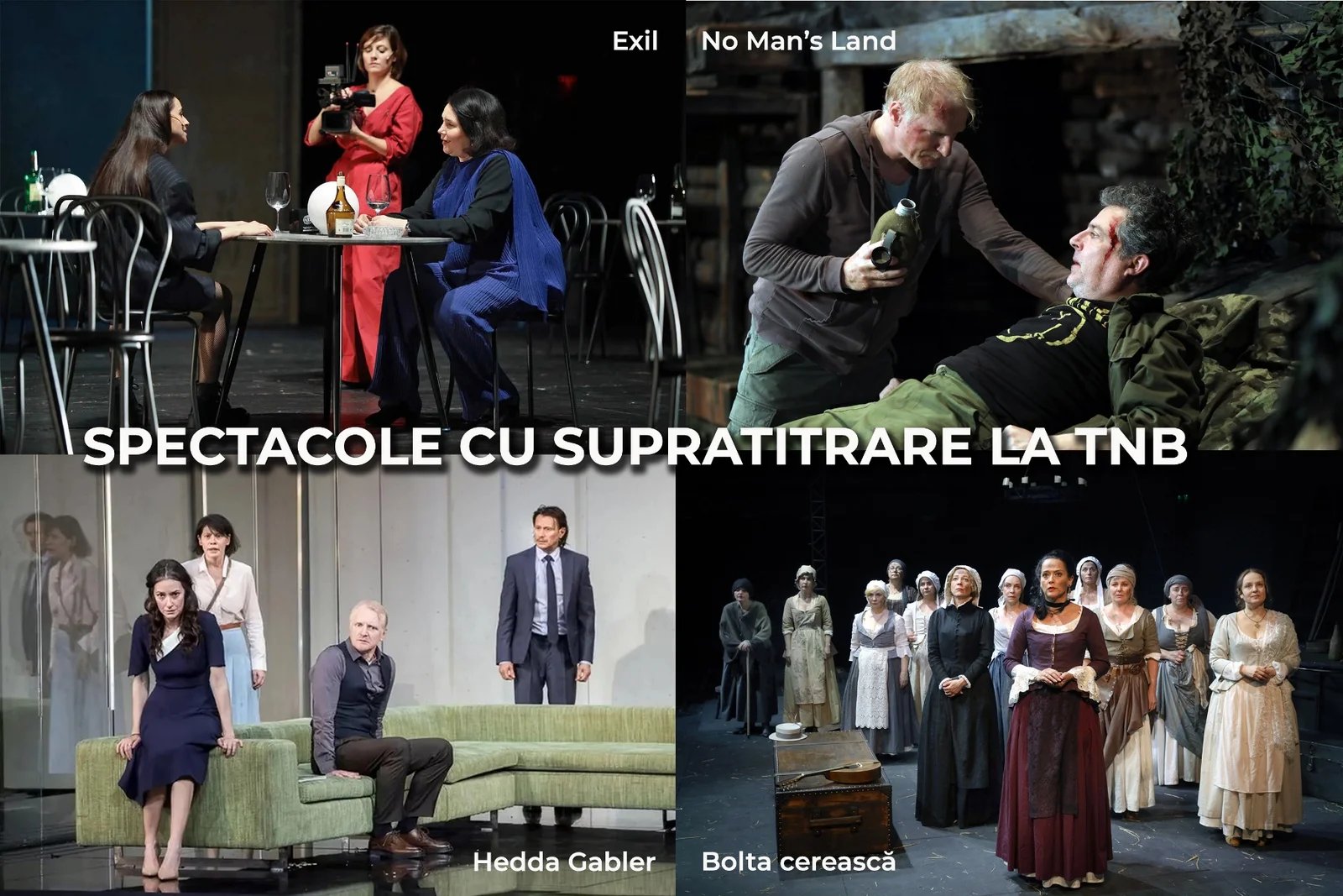 Teatrul Național București introduce supratitrare în engleză pentru spectacole din repertoriu