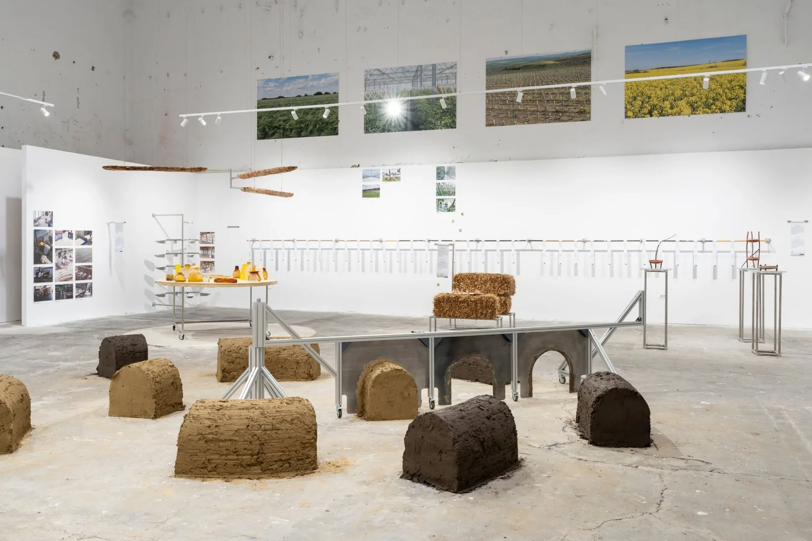„Cinci Hectare" la FABER Timișoara: design și agricultură românească